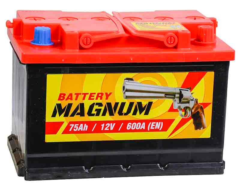 Аккумулятор автомобильный Magnum 75 А/ч 600 A обр. пол. Евро авто (278x175x190)