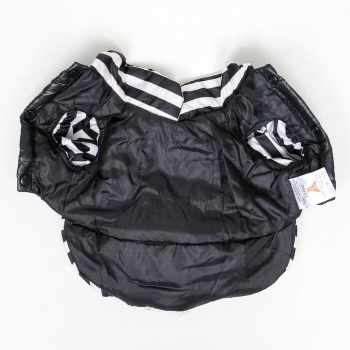 Курточка для собак с воланами, размер 2 (ДС 23,ОШ 26, ОГ 33 см), чёрная - фотография № 8