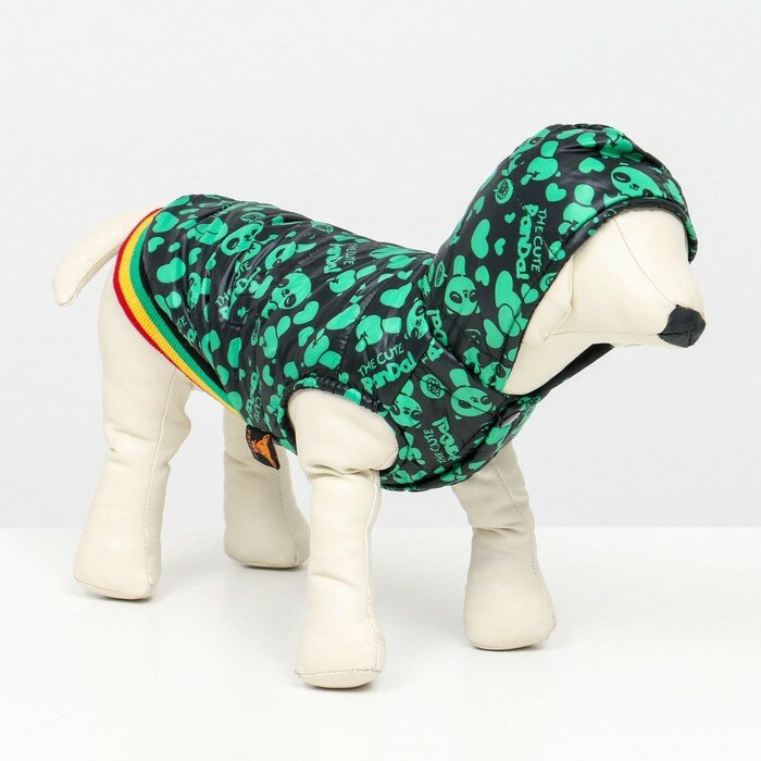 Курточка для собак "Пятнашки", размер 3 (ДС 28,ОШ 30, ОГ 42 см), зелёная - фотография № 1