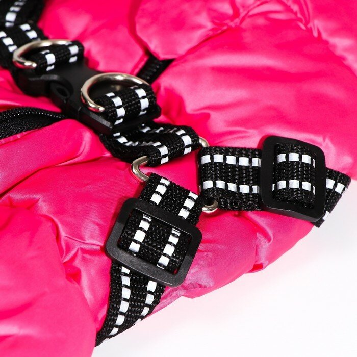 Куртка для собак со шлейкой, размер 22 (ДС 41 см, ОГ 60 см, ОШ 43 см), розовая - фотография № 10