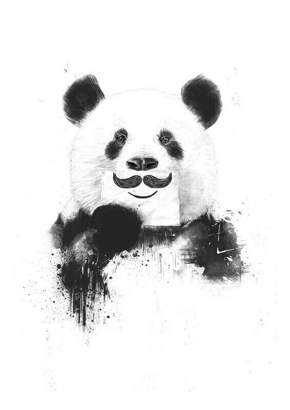 Интерьерный постер "Funny panda" размера 50х70 см 500*700 мм репродукция без рамы в тубусе для декора комнаты офиса дома дизайна спальни гостиной