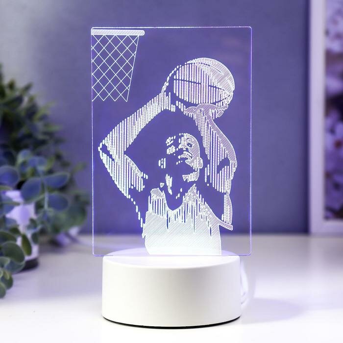 RISALUX Светильник "Баскетбол" LED RGB от сети 9,5х11х20 см - фотография № 1