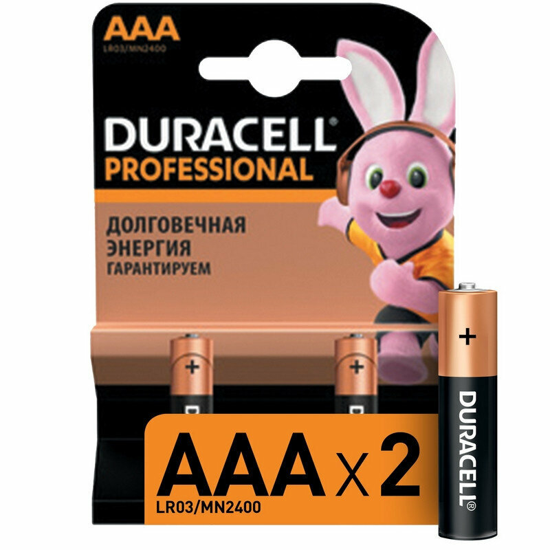 Батарейки Duracell Professional мизинчиковые ААА LR03 2 штуки в упаковке, 896310