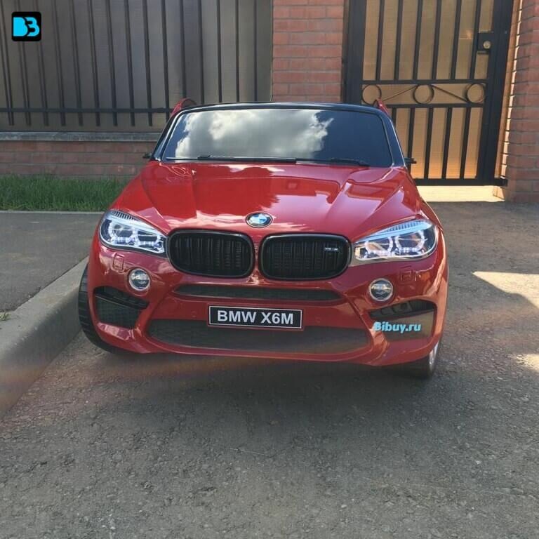   BMW X6M (JJ2168)   (RiverToys)