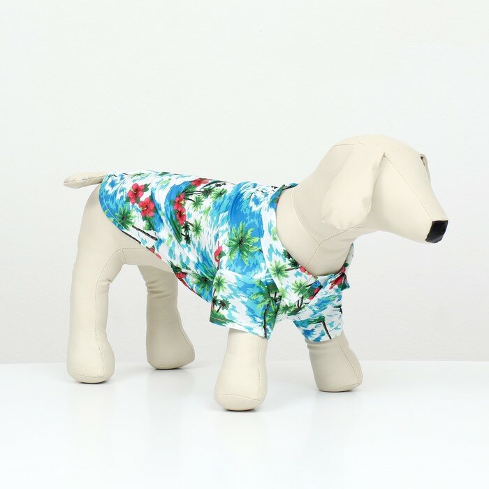 Рубашка для собак "Тропики", S (ДС 24, ОГ 30, ОШ 23 см), голубая - фотография № 1