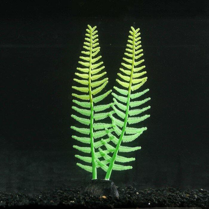 Растение силиконовое аквариумное, светящееся в темноте, 8 х 23 см, зелёное - фотография № 1
