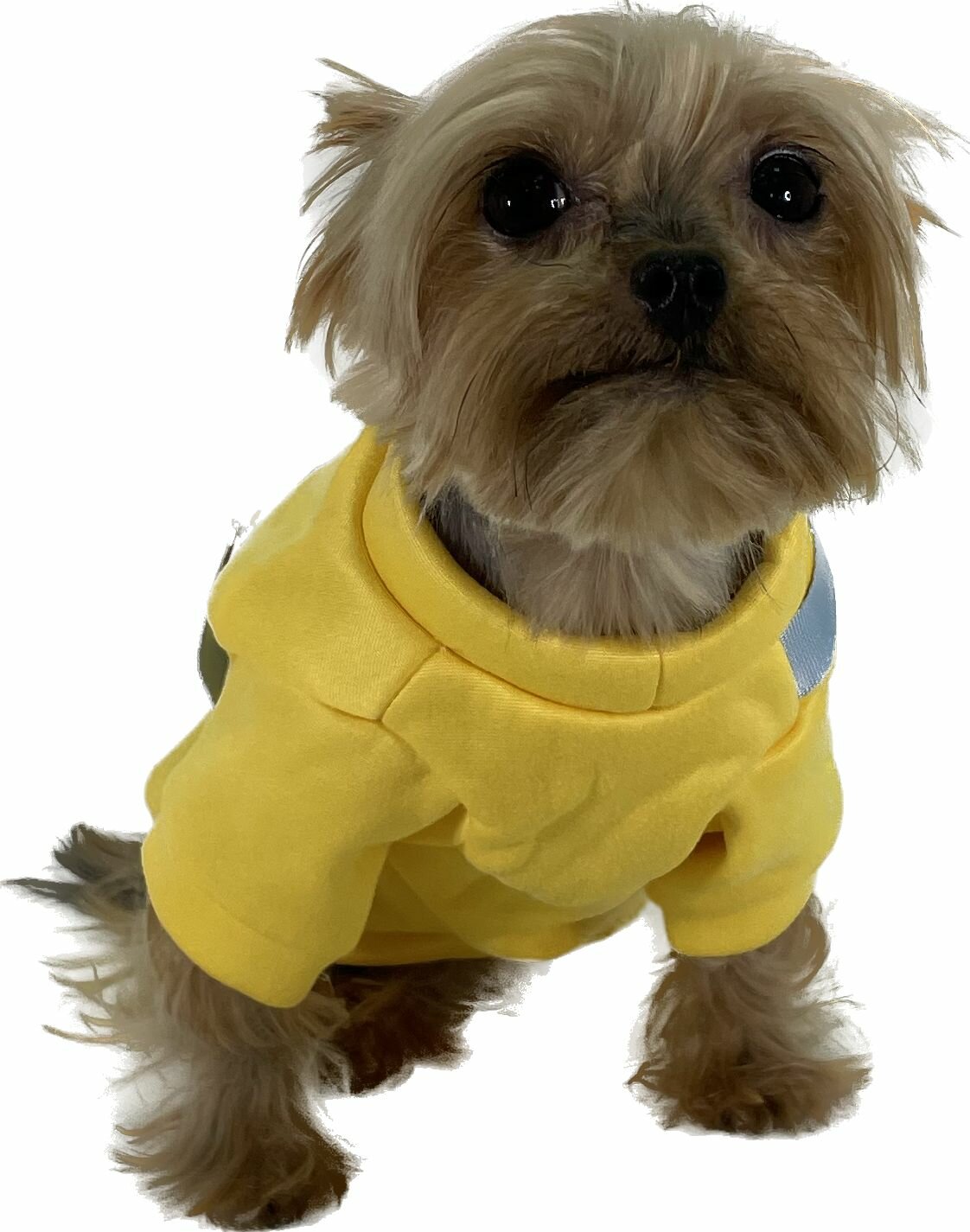 Одежда для собак теплый плюшевый свитер желтый с сумкой XS - фотография № 3