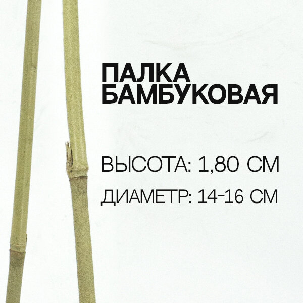 Палка бамбуковая 1,80 м (d14-16 мм) - фотография № 1