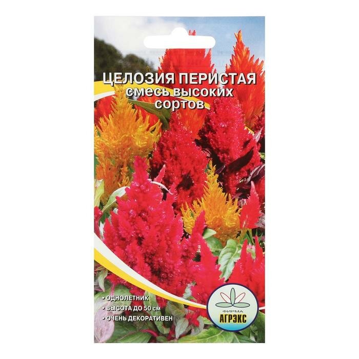 Семена цветов однолетние Целозия смесь высоких 01 (2 шт)