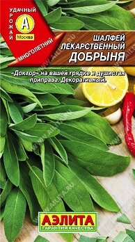 Шалфей лекарственный Добрыня цв. Аэлита