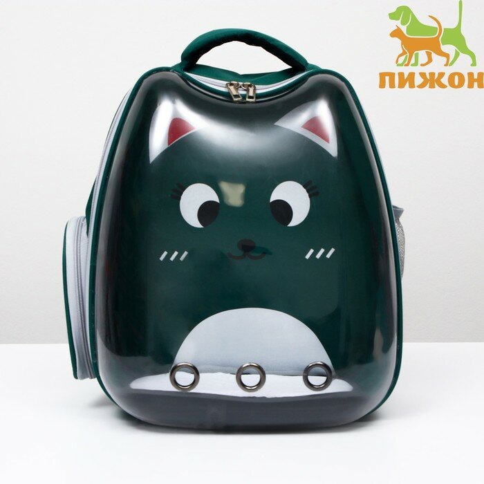 фото Рюкзак для переноски кошек и собак «Котик», прозрачный, 34 х 25 х 40 см, зелёный