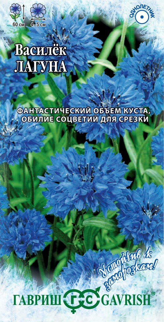 Василек Лагуна Синий 02г Одн 60см (Гавриш) Устойчив к заморозкам