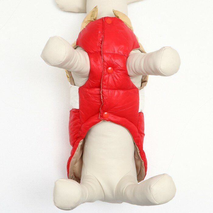 Куртка для собак с утяжкой размер 12 (ДС 28, ОГ 38, ОШ 27), золото-красная - фотография № 5
