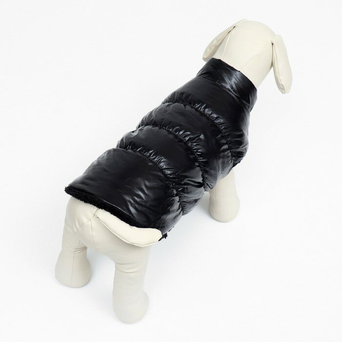 FlowMe Куртка для собак "Блеск", XS (ДС 20, ОГ 28, ОШ 19 см, до 3 кг), чёрная - фотография № 4