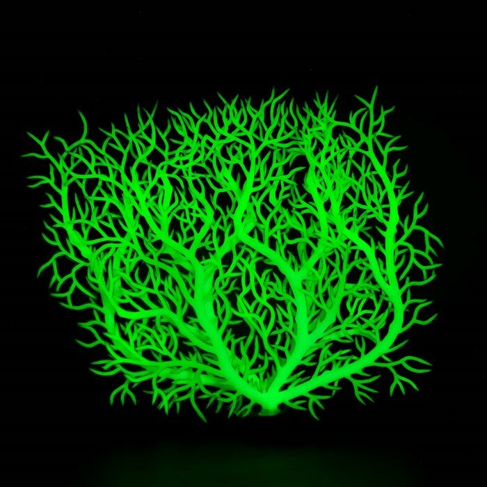 Растение искусственное аквариумное, светящееся, 15 см, зелёное - фотография № 4