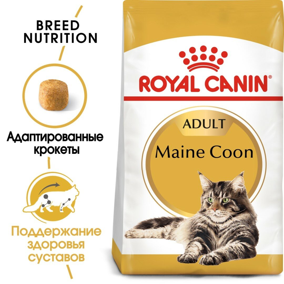 Сухой корм для кошек Royal Canin Maine Coon 31 Adult 13 кг