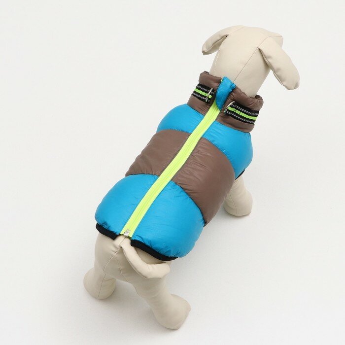 Куртка для собак на молнии, размер 8 (ДС 23 см, ОГ 30, ОШ 22 см), серо-голубая - фотография № 3