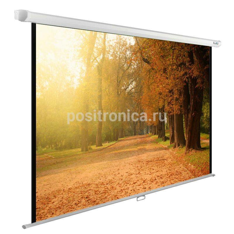 Экран рулонный Cactus WallExpert CS-PSWE-200x125-WT