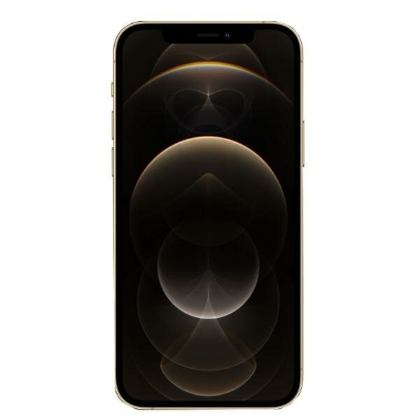 Apple iPhone 12 Pro Max 512ГБ Gold (Золотой) (A2412) 2sim