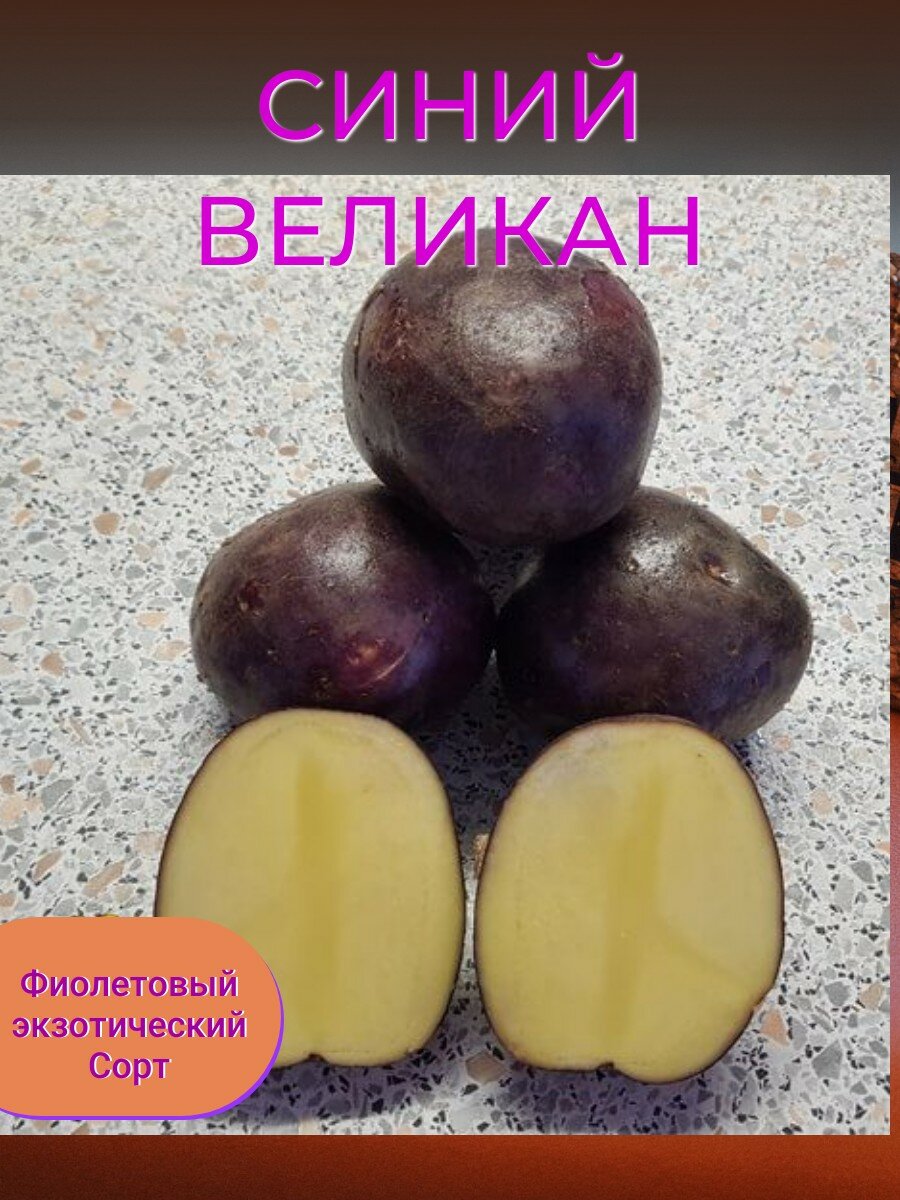 Семенной селекционный картофель синий великан Суперэлита 2 кг