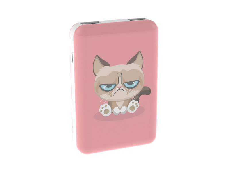 Внешний аккумулятор Ritmix Power Bank RPB-10007 10000mAh Grumpy Cat