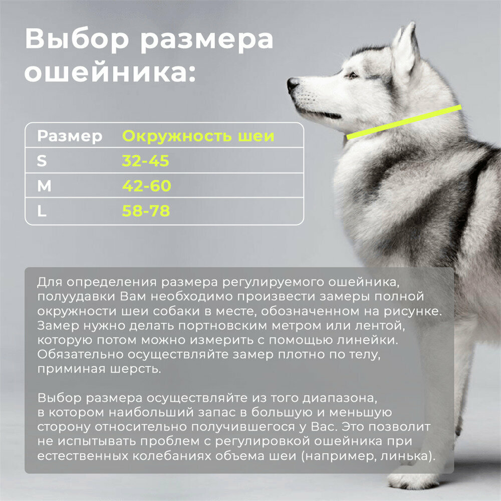 Ошейник для собак регулируемый облегченный спорт White Wolf фиолетовый - фотография № 4