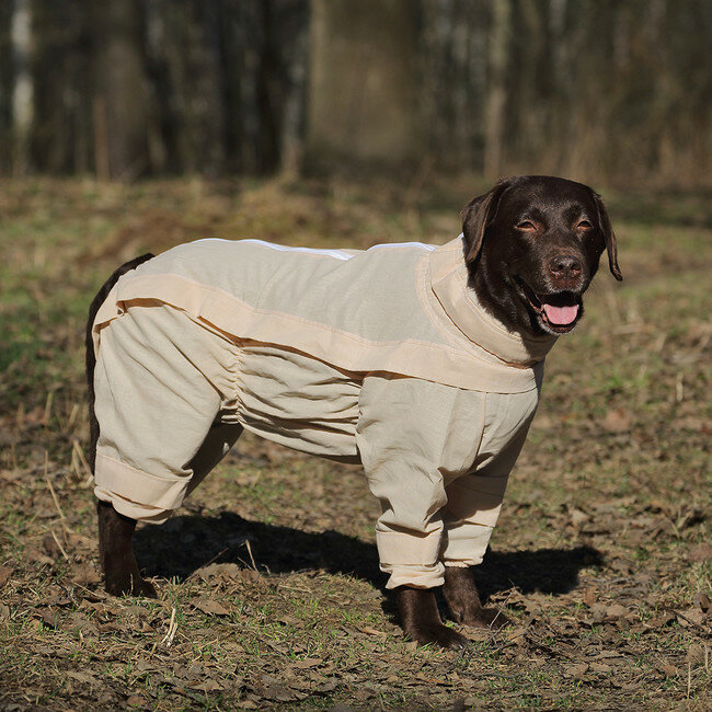 Комбинезон для собак Osso Fashion Анти Клещ, размер 60 - фотография № 3