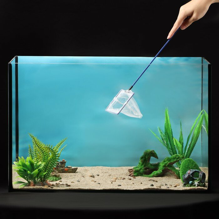 фото Сачок аквариумный 10 см, синий