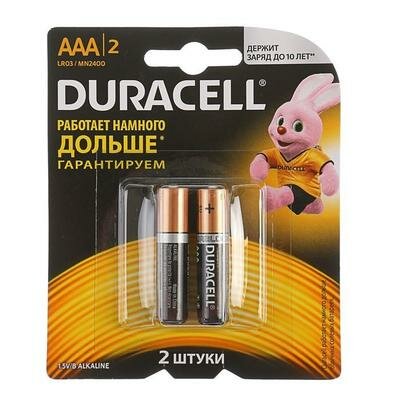 Батарейка алкалиновая Duracell Basic, AAA, LR03-2BL, 1.5В, блистер, 2 шт. Duracell 477832