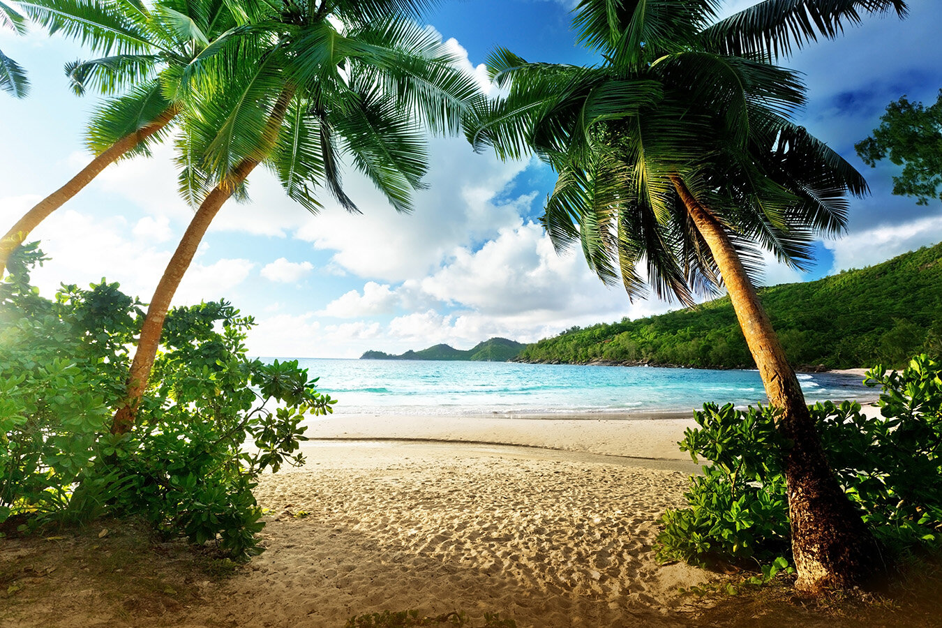 Фотообои Уютная стена "Пляж Такамака на Сейшельских островах" 410х270 см Бесшовные Премиум (единым полотном) - фотография № 1