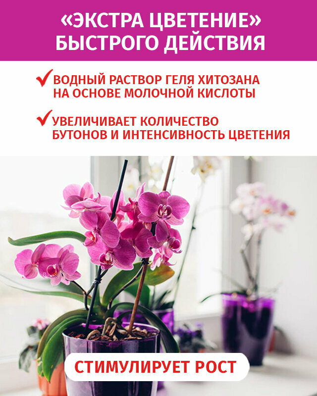 Эликсир Подкормка для интенсивного цветения JOY удобрение для Экстра цветение для орхидей, 400мл - фотография № 3