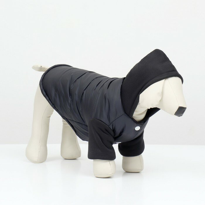 Куртка для собак "Спорт" с капюшоном, размер M (ДС 30, ОГ 40, ОШ 30 см), чёрная - фотография № 3