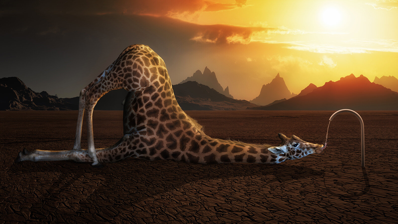 Фотообои Уютная стена "Жираф на закате" 480х270 см Бесшовные Премиум (единым полотном) - фотография № 1