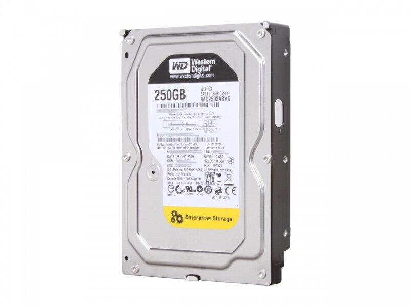 Жесткий диск Western Digital WD RE3 250 GB (WD2502ABYS)