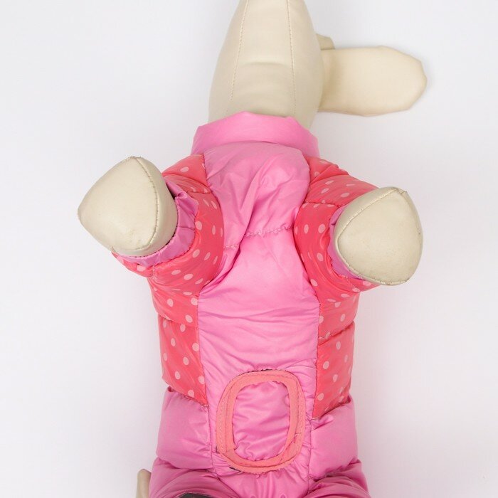 Комбинезон для собак "Горошек", размер 20 (ДС 43, ОГ 56, ОШ 41 см), розовый - фотография № 6