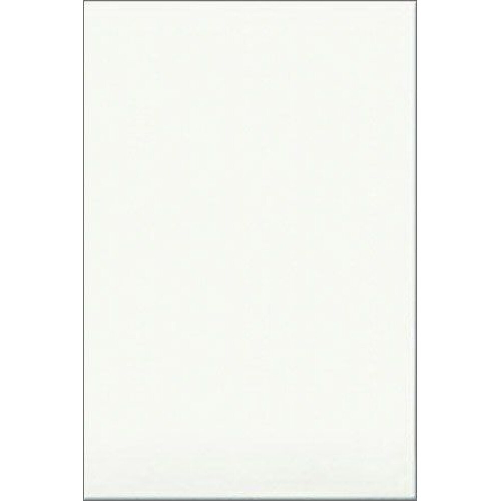 фото Плитка настенная Шахтинская плитка Белая премиум vМ 20х30 см (10100000803) (1.44 м2)