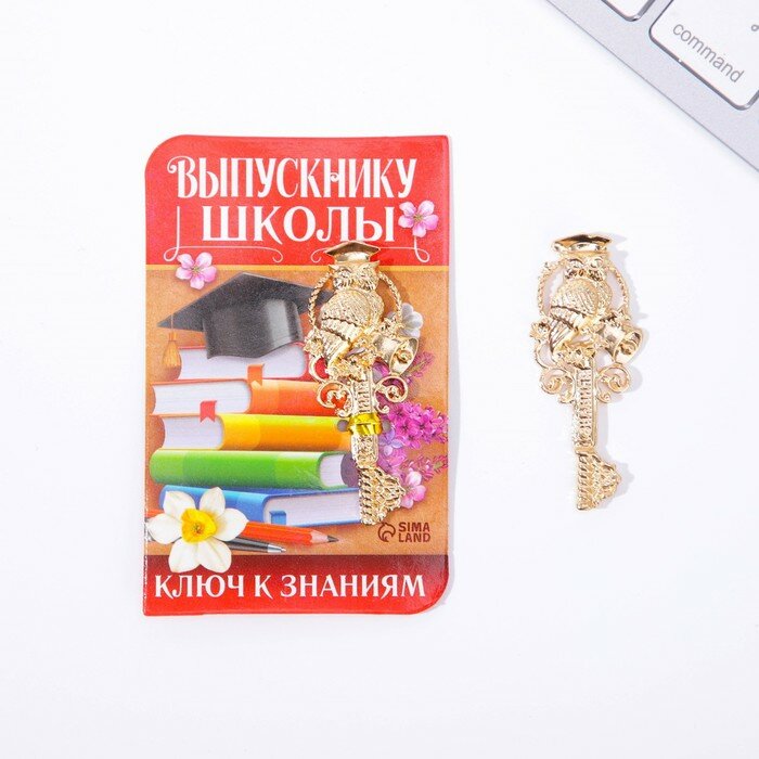 Ключ сувенирный "Выпускнику школы", металл, 2 х 4,8 см - фотография № 1