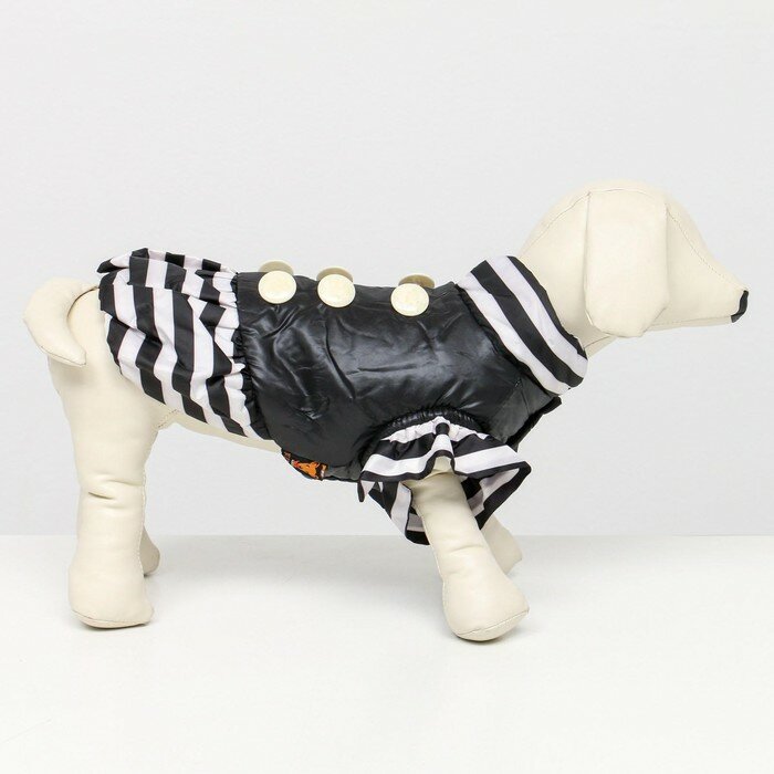 Курточка для собак с воланами,размер 6 (ДС 43,ОШ 44, ОГ 60 см), чёрная - фотография № 2