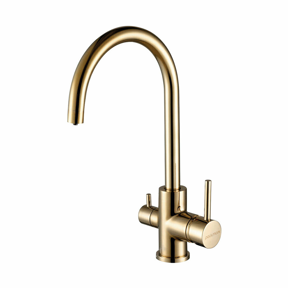 Paulmark Смеситель для кухни Paulmark ESSEN 213211-G золото