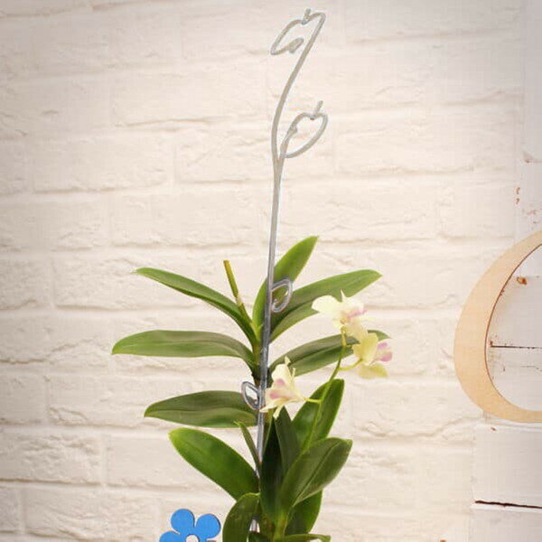 Опора для орхидеи 60см прозрачная - фотография № 2