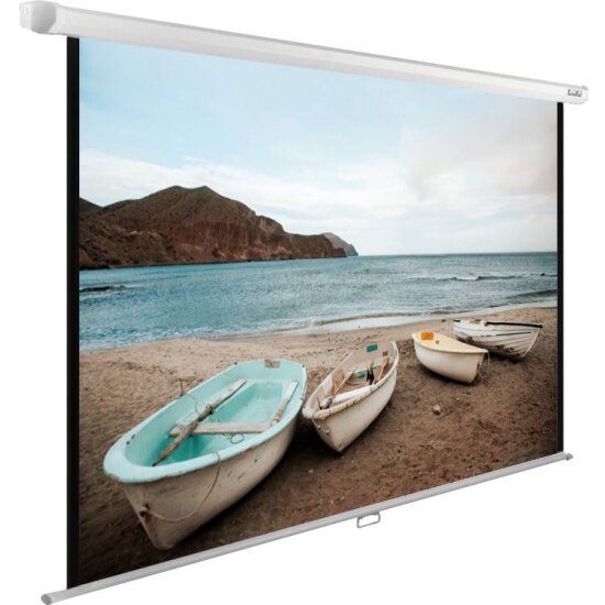 Рулонный cactus WallExpert CS-PSWE-220x138-WT