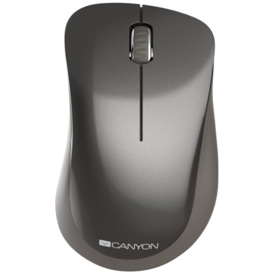 Мышь беспроводная CANYON CNS-CMSW911DG темно-серый
