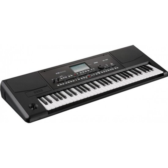 Синтезатор профессиональный KORG Pa300