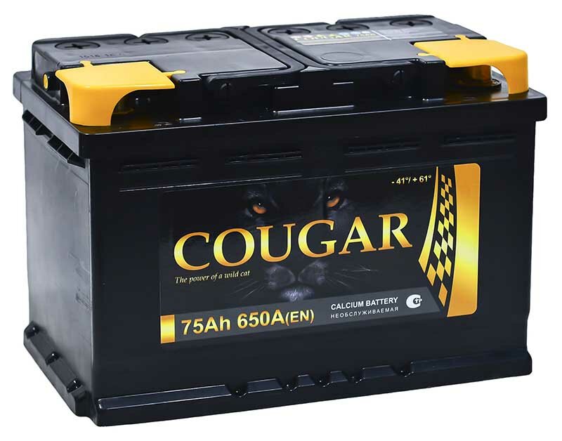 Аккумулятор автомобильный Cougar Power 75 А/ч 680 A обр пол Евро авто (278x175x190)