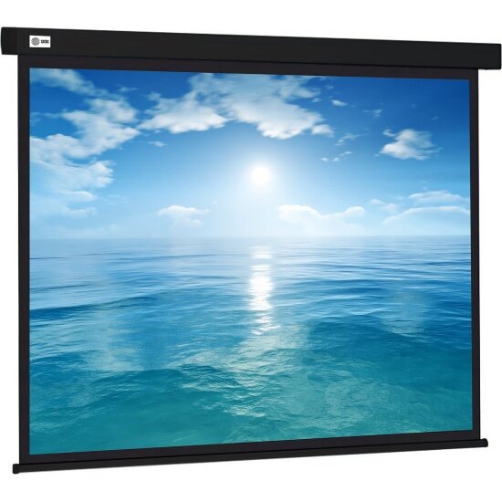 Рулонный cactus Wallscreen CS-PSW-104X186-BK