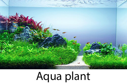 Аквариумный светильник Биодизайн Led Scape Aqua Plant, 70 см - фотография № 2