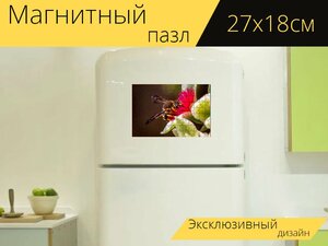 Магнитный пазл "Макрос, пчела, цветочная пыльца" на холодильник 27 x 18 см.