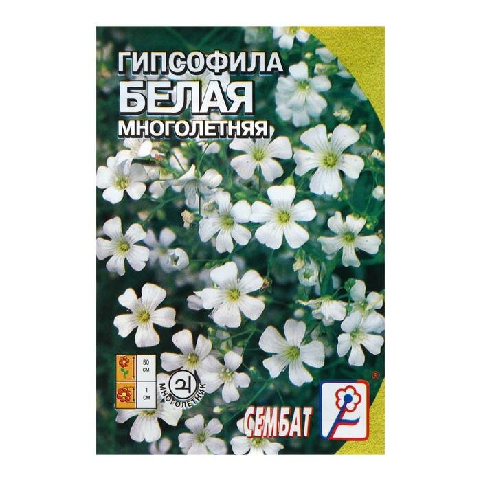 Семена цветов Гипсофила белая многолетняя 02 г./В упаковке шт: 2