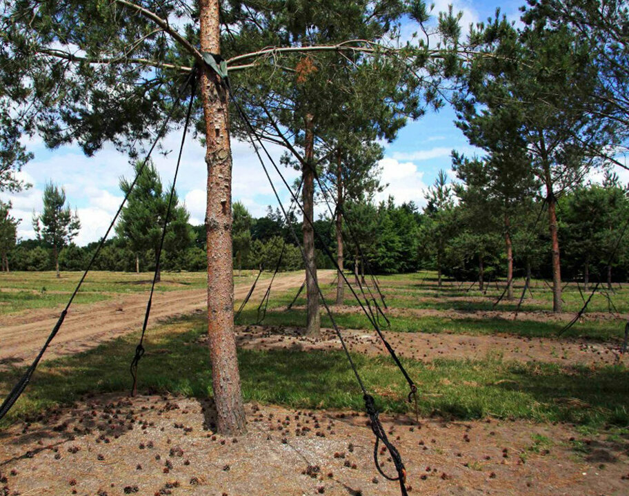 Колышки садовые (анкер садовый) винтовые для пересадки крупномерных деревьев L-50 см комплект 3 шт - фотография № 2