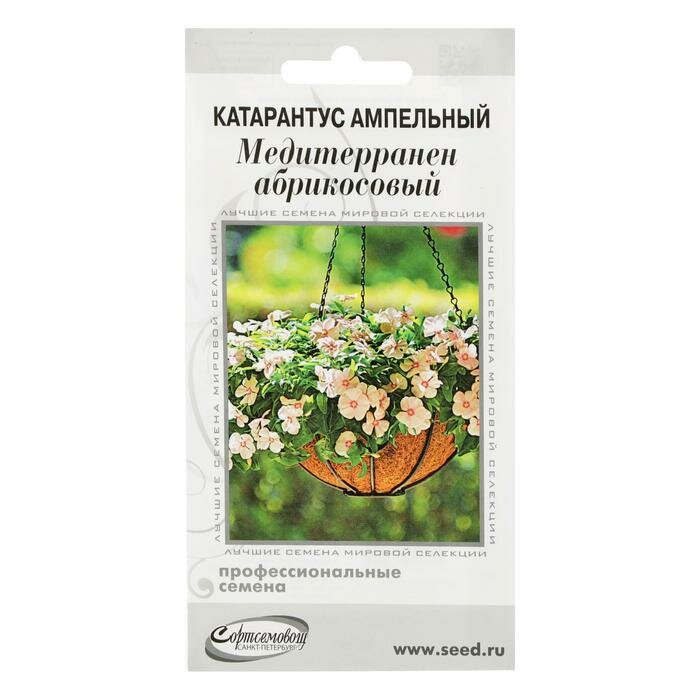 Семена цветов Катарантус амп. Медитерранен абрикосовый 7 шт